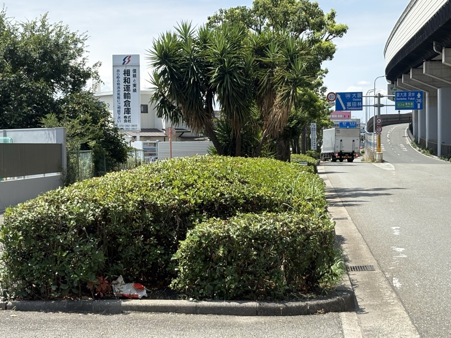 高架沿いの道路と植え込み、ユッカの木